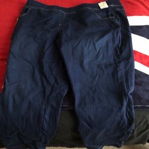 Terra & Sky Jeans Pull On NWT Blue Size 3X